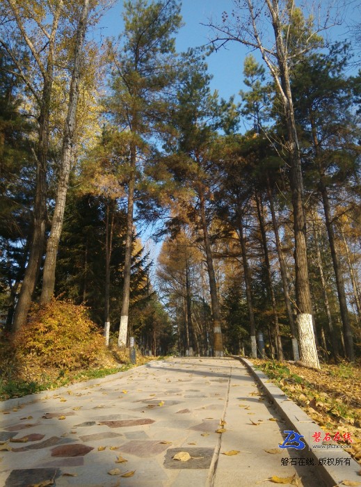 磐石美丽的秋天--东山公园