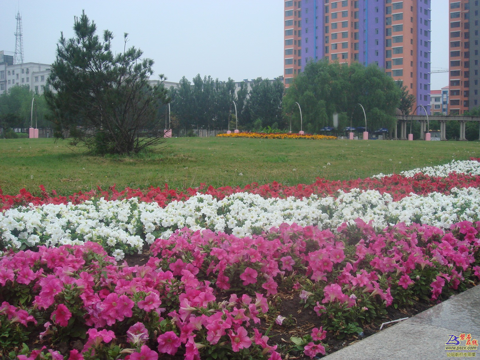 DSC02015.JPG