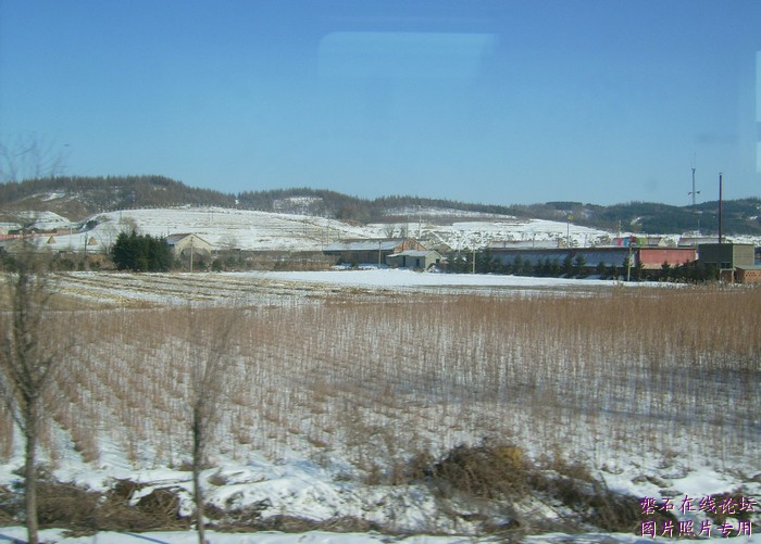 北国风光，千里冰封，万里雪飘，苍白大地。---磐石向南，向南，......