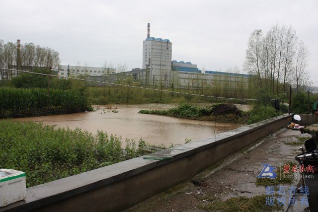 红旗岭水情