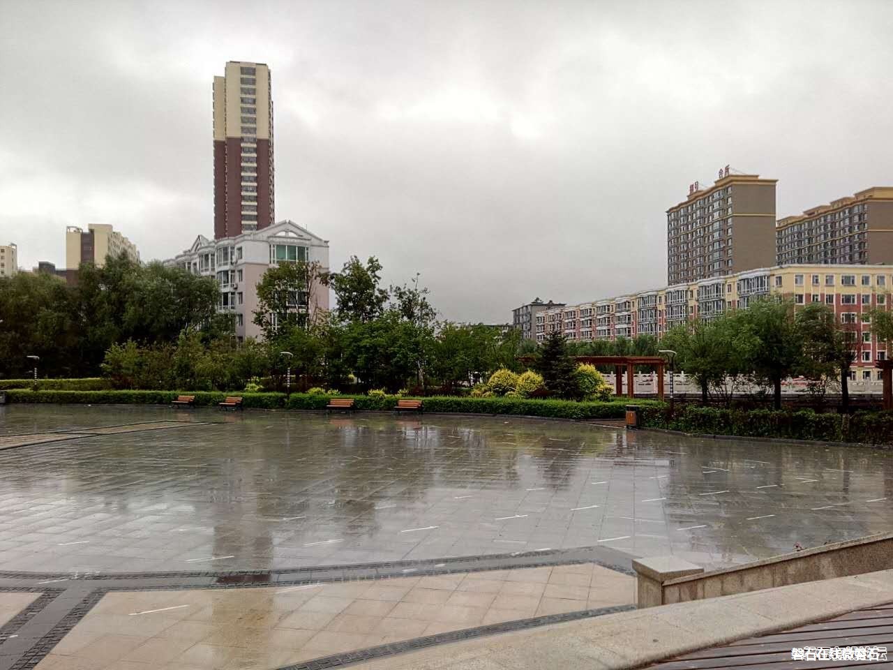 雨后美景