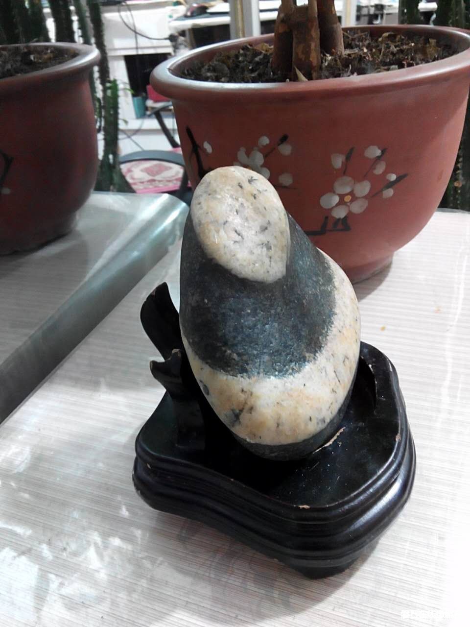 奇石心赏