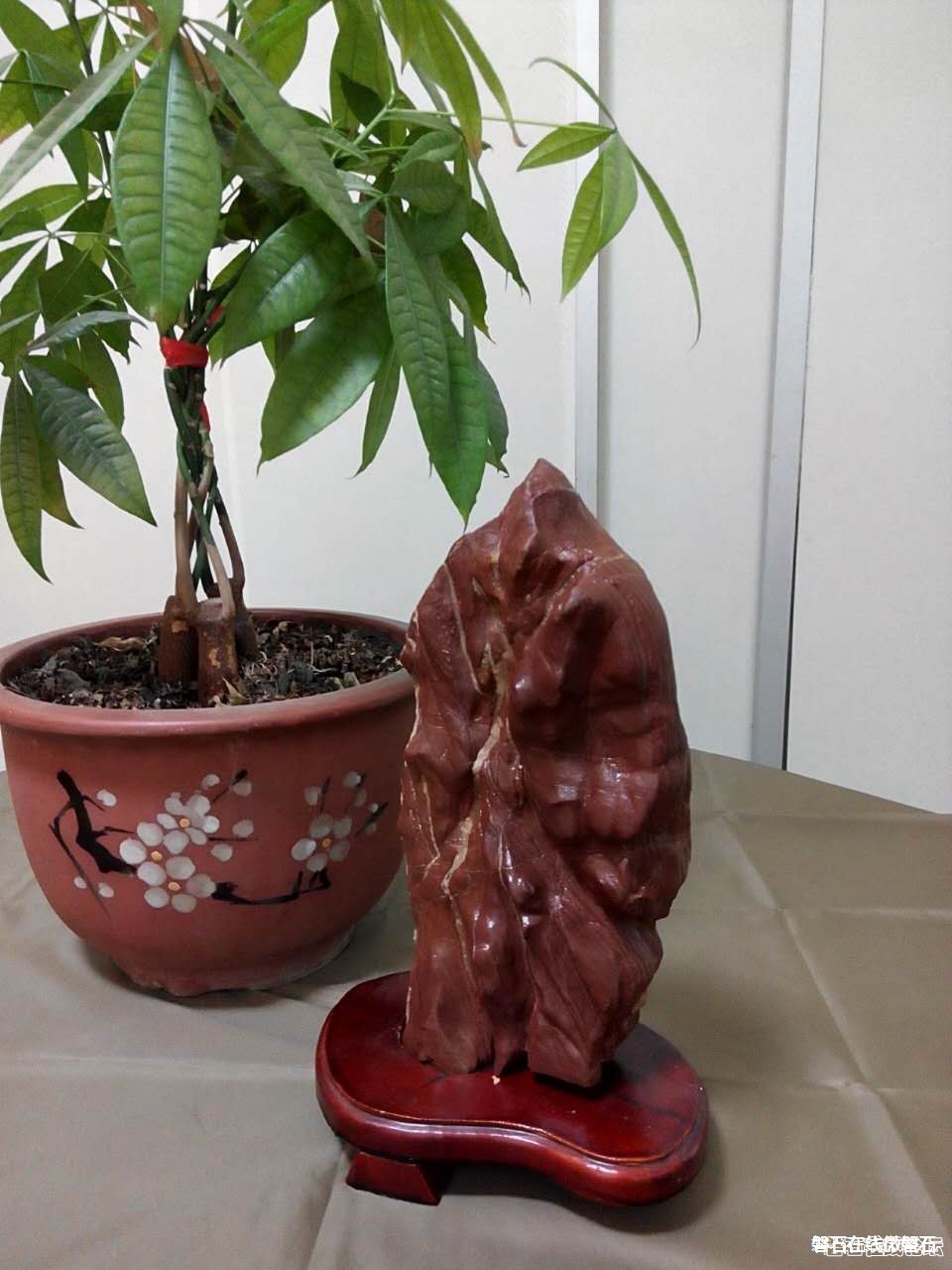 奇石心赏