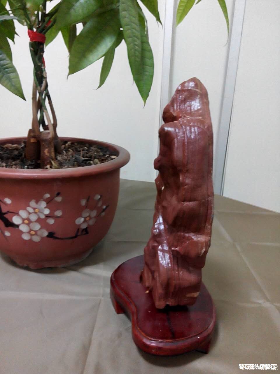 奇石心赏