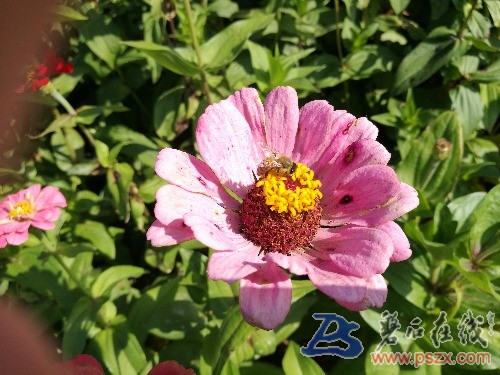 IMG_20170924_134144.jpg