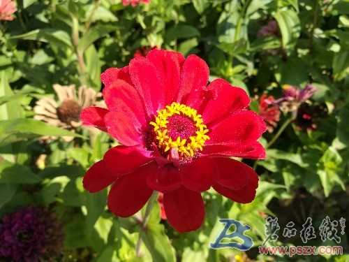 IMG_20170924_134210.jpg