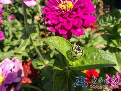 IMG_20170924_133944.jpg