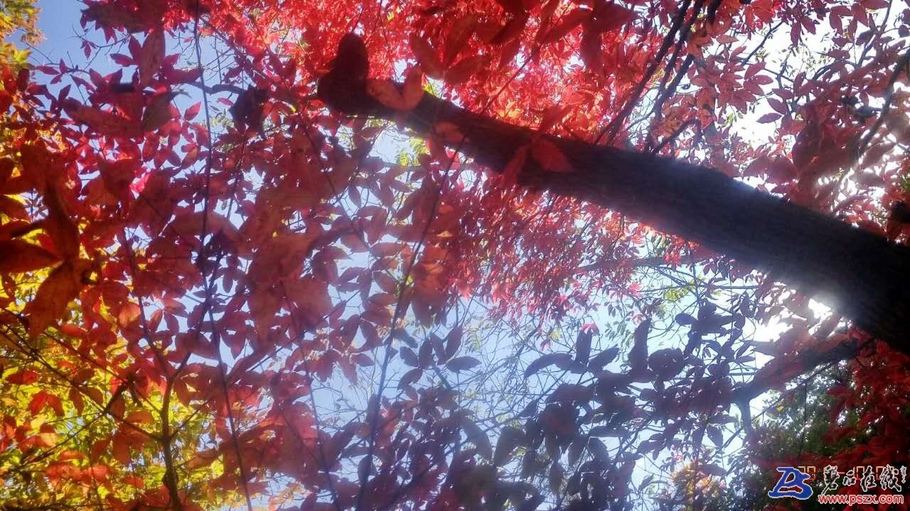 wechat_upload150742997559d98e57cc196