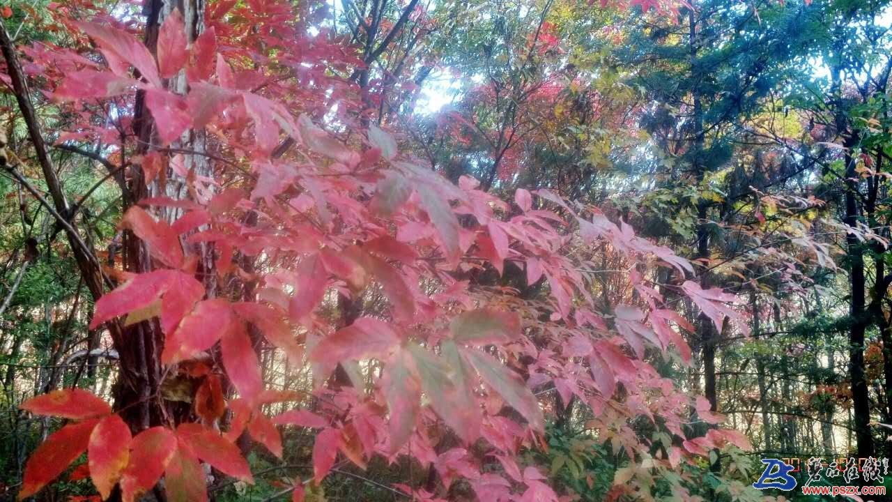 wechat_upload150742997659d98e58db90c
