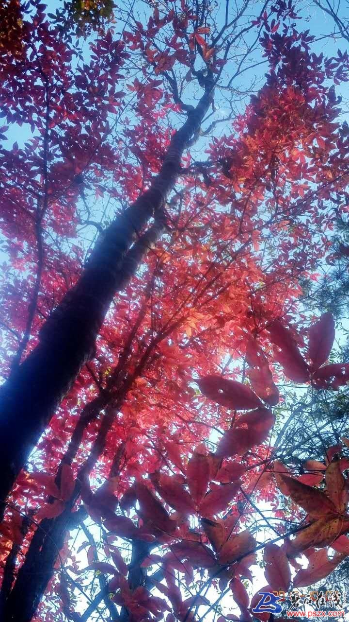wechat_upload150742997659d98e5814011