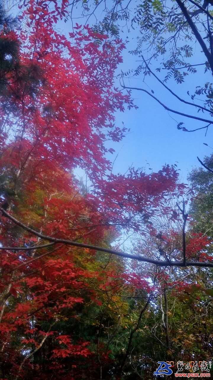 wechat_upload150742997759d98e59208eb
