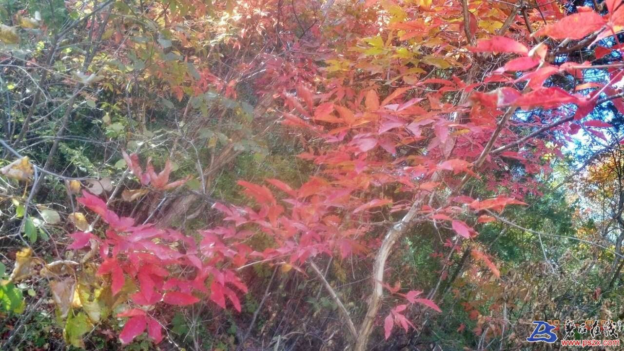 wechat_upload150742997759d98e59f144d