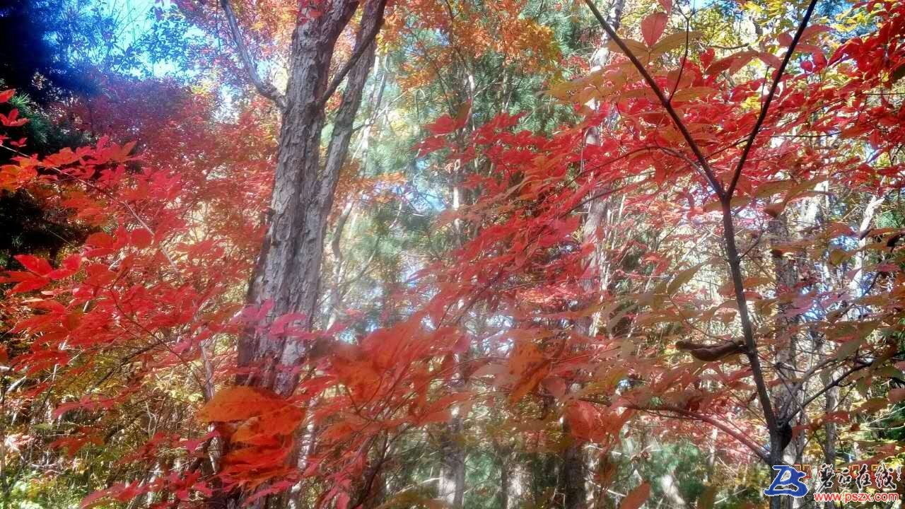 wechat_upload150742997759d98e596e820