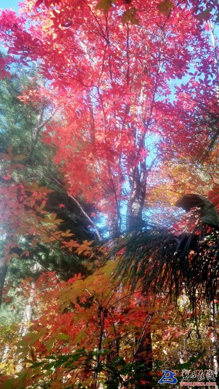 wechat_upload150743006959d98eb5d499d