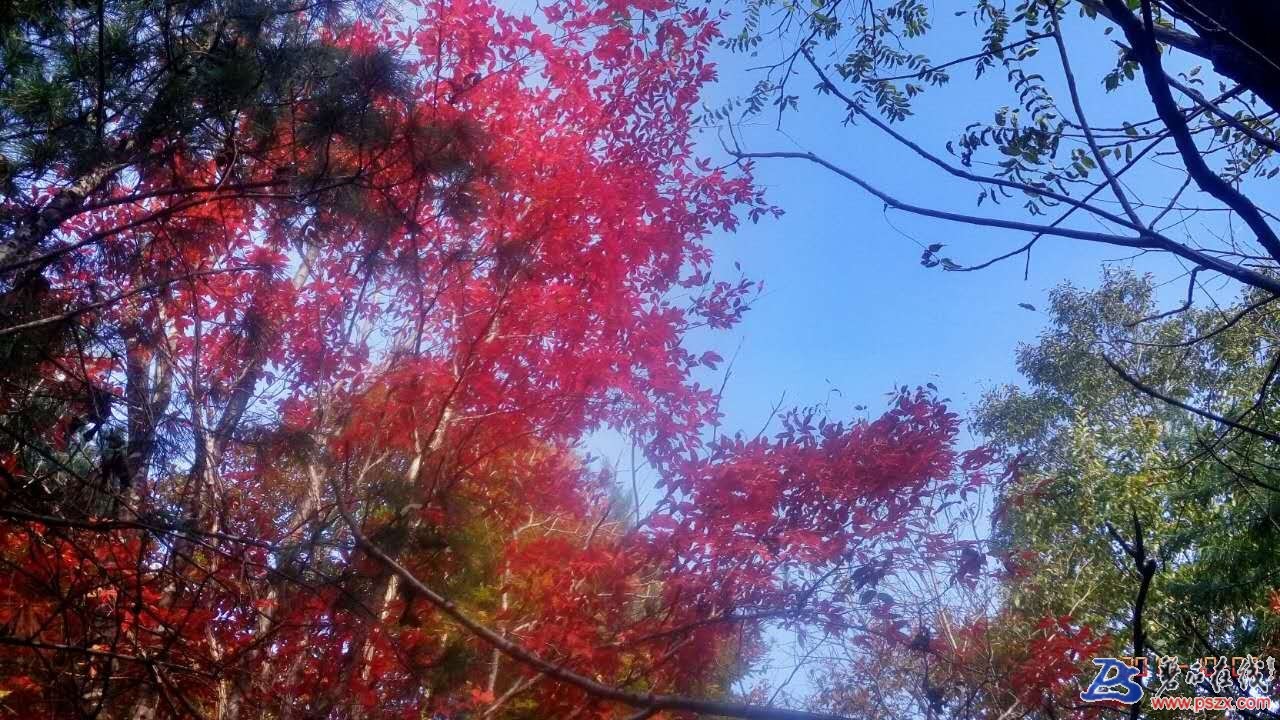 wechat_upload150743007059d98eb6bd4a6