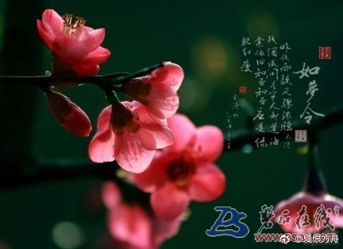 005ZhQO4ly1fmct6jkx2xj30dw0a3t8y.jpg